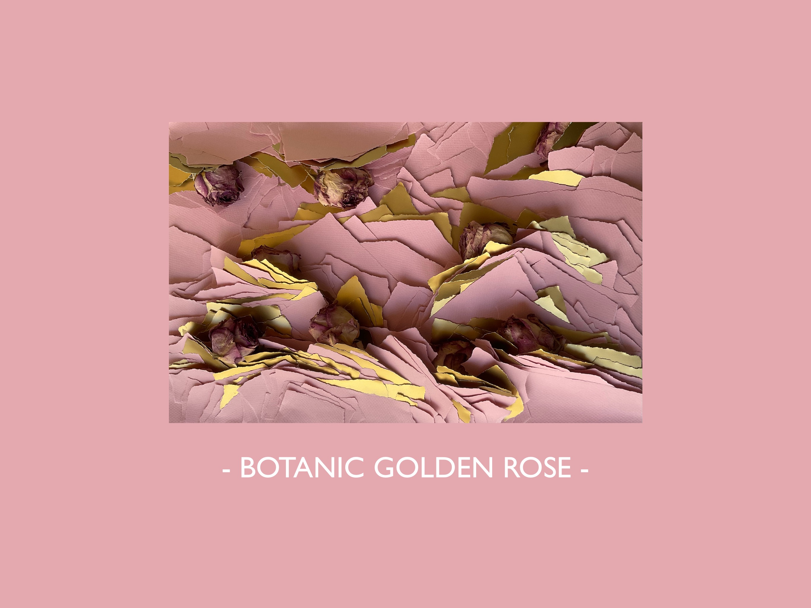- BOTANIC GOLDEN ROSE -