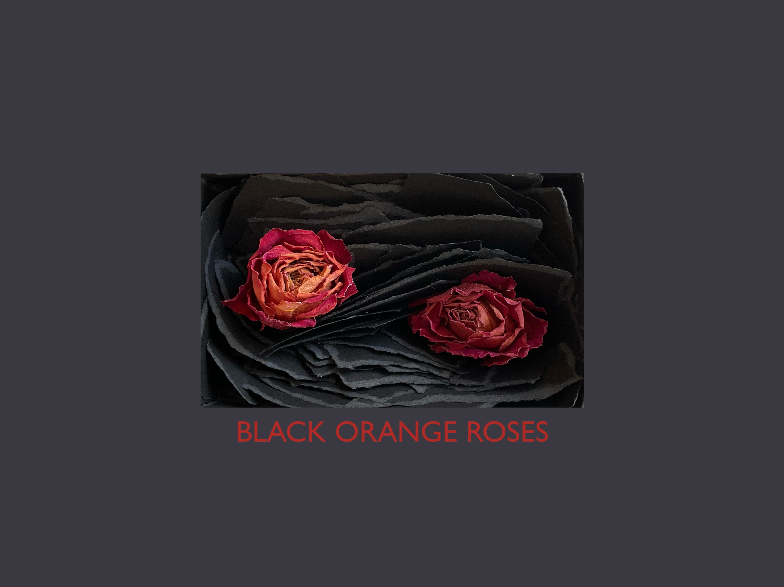 - BLACK ORANGE ROSES -