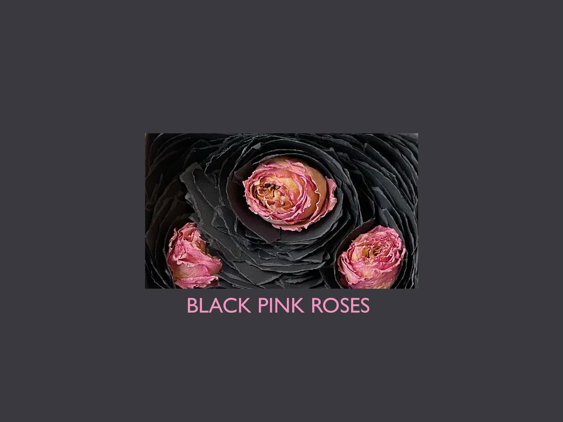 - BLACK PINK ROSES -